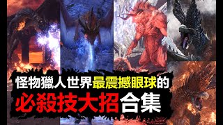 【MHWI】  怪物獵人世界最震撼眼球的必殺技大招合集 魔物獵人世界 冰原 MHW モンスターハンター ワールド monster hunter world