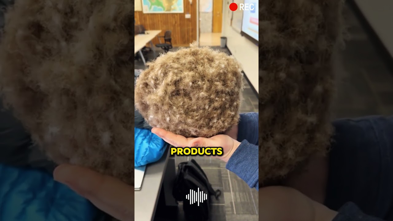 The most expensive duck down in the world 