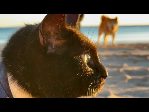 海が見たくて海にきたよ The Sea at Twilight