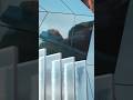 Showreel #3danimation #building #architecturedesign #unrealengine #glassarchitecture