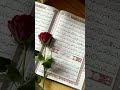 Quran Reaction in urdu translation #quran #quranrecitation #quranforeever #hijabehaya #duet #love