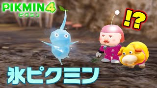 氷ピクミンだと！？水と凍りに強いカッチカチ！【ピクミン４#２】