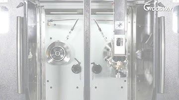 GOODWAY GTH-2000  PARALLEL TWIN-SPINDLE CNC TURNING CENTERS  平行雙主軸車銑複合機