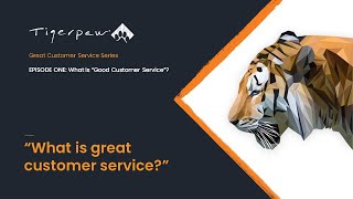 Customer Service E1: How do you define great customer service