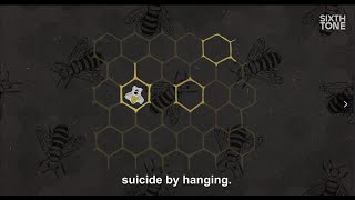 All Stung Out: China’s Bee Industry Crisis, Explained