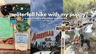 Waterfall Hike with My Dog 🥾 + Dog-Friendly Afternoon in Asheville, NC🐾
