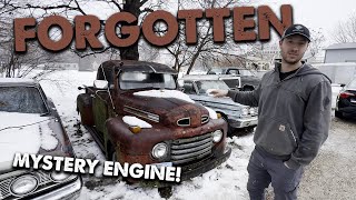 1950 Ford F1 PARKED 20 YEARS -Will it RUN AND DRIVE?