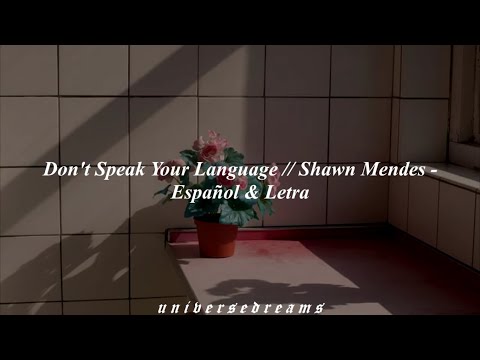 Shawn Mendes - Patience (tradução) 