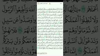 سورة محمد للقارئ مصطفى رعد الغزاوي 1080