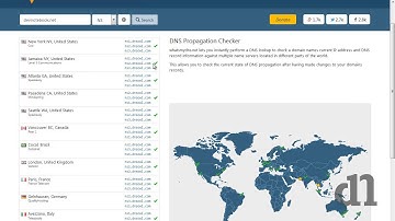 How to check DNS  propagation status ?