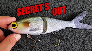 Is this the HOTTEST Technique in Fishing?!?  Chop Glide: BAITSANITY Chimera