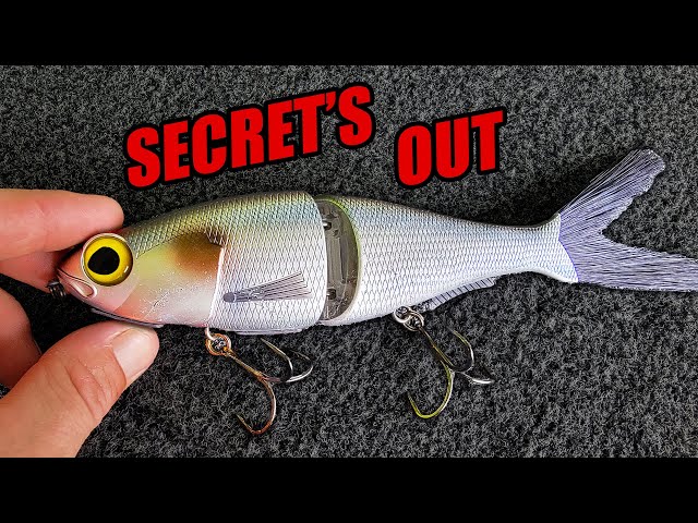 Is this the HOTTEST Technique in Fishing?!? Chop Glide: BAITSANITY Chimera  