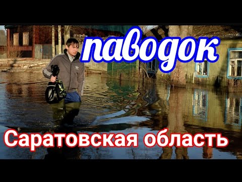 Медведица вышла из берегов