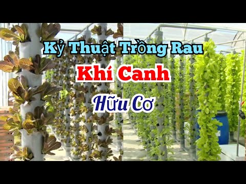 Video: Trồng bằng khí canh - Tìm hiểu về cách làm vườn khí canh