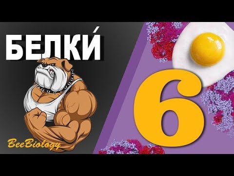 • БЕЛКИ • Органические вещества клетки • строение, структуры, функции