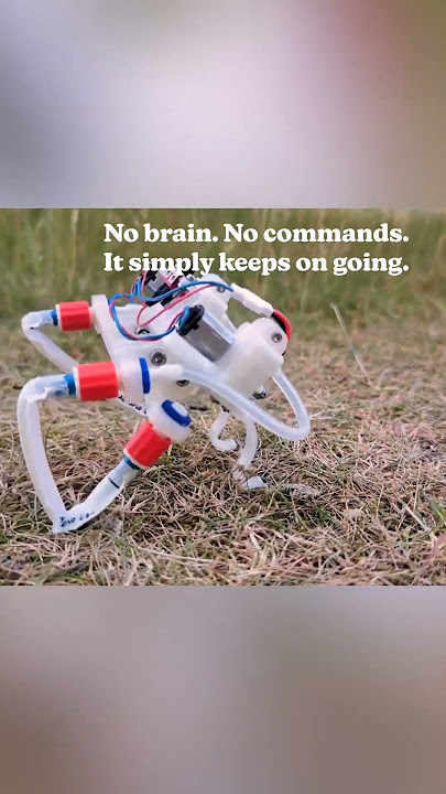 This robot moves without a brain #amolf