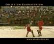 Gladiator fight collegium gladiatorium