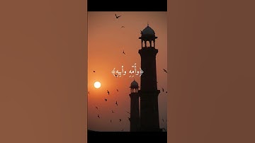 مشهد من يوم القيامه كما لم تسمعه من قبل | تلاوة مؤثره من #سورة_عبس 🤍.