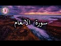 الشيخ عمير شميم Umair Shameem تلاوة ندية من سورة الأنعام ليالي رمضان 1444