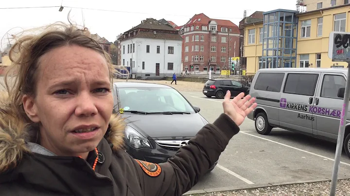 Christina Strauss viser rundt i Sydhavnen.