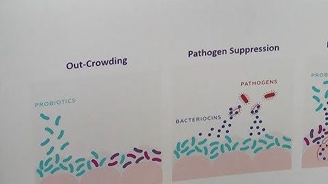 Accelerating biotech startups to solve big problems