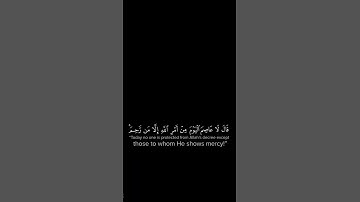 القارئ: ماهر المعيقلي السورة: هود (41-44) قران خلفيه سوداء