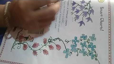 Class 3 chapter 13 part 1 math( smart chart)