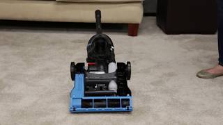 bissell 2112 belt walmart