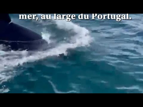 Des Marseillais inquiétés