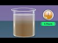Cleaning of Muddy Water Quiz
