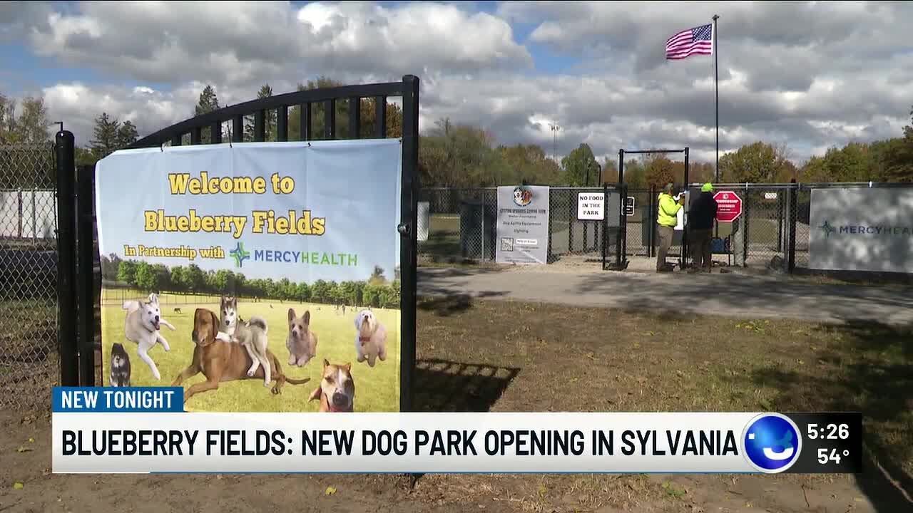 A new place to play: Blueberry Fields Dog Park opening in Sylvania