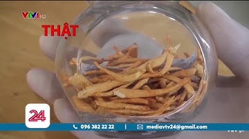 Phân biệt đông trùng hạ thảo thật giả | VTV24