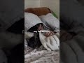 Sleepholic 🤍 #shorts #fypviral