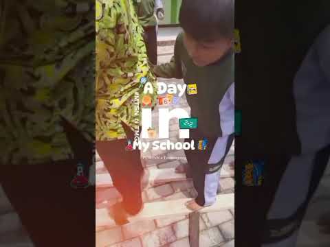laporan hasil P5 dan PPRA kelas 7F kelompok 1 laporan hasil P5 dan PPRA kelas 7F kelompok 1