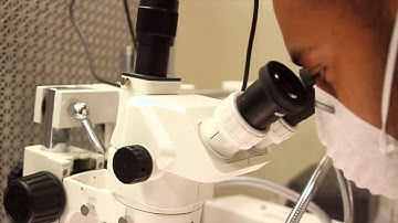 Data Analyzers Data Recovery Lab