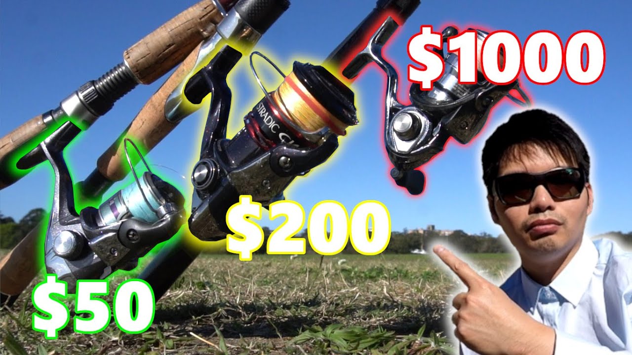 My Lure Fishing Setups Price Vs Performance YouTube