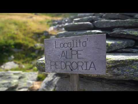 Alpe Pedroria e Alpe Madrera | Scopri il Bene FAI ...