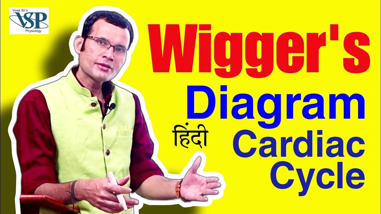 Wigger’s diagram ~ Cardiac cycle [Hindi] | MBBS | NEET PG | Dr Vivek Nalgirkar |