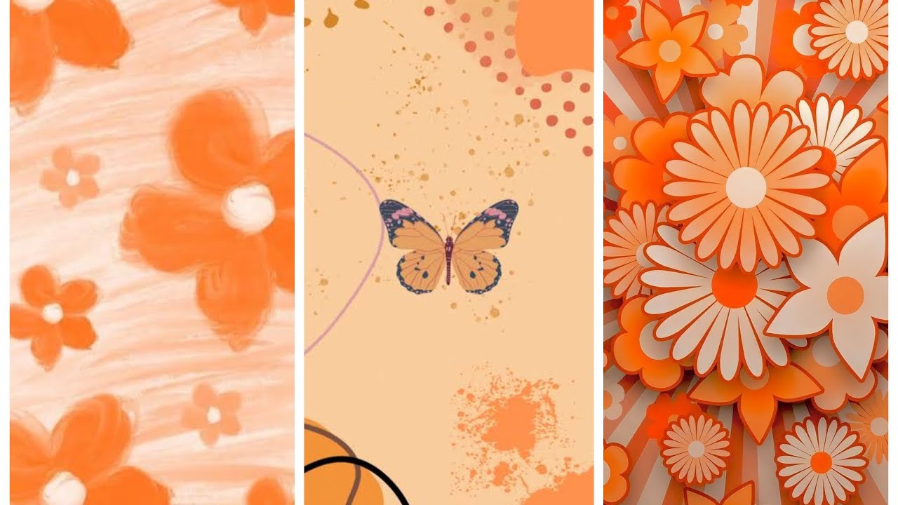 🦊🦊WALLPAPER COLOR ORANGE 2026🎃🎃