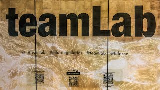 TeamLab | Tolarno Galleries | Melbourne, Australia
