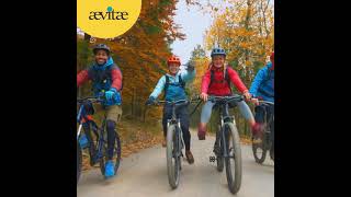 Aevitae. Verzekeringen Met De Kracht Van Aandacht - Campagne 2024-1.3