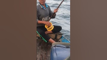 #95 nghề câu cá nục trên biển Đông #shorts