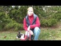 Sit, Stay, Bark & Play in Asheville NC | Dog Training | Dog Sitting | Dog Walking Sit, Stay, Bark & Play in Asheville NC | Dog Training | Dog Sitting | Dog Walking