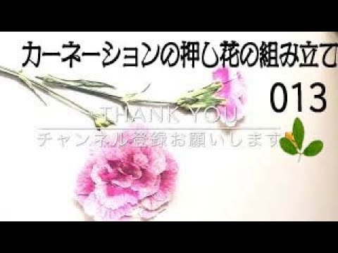 カーネーションの押し花の組み立て方 Youtube