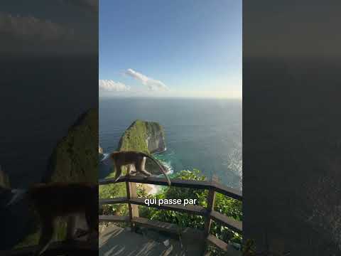 Get internet at a reduced price in Bali