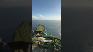Avoir internet à prix réduit à Bali 🇮🇩🏝️