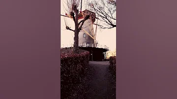 Binnenmolen Windmill - Rhenen Utrecht #windmill #utrecht #rhenen