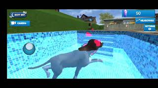 dog shelter simulator 3d screenshot 2