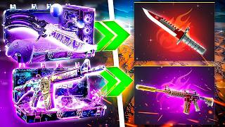 I TURNED $1000 INTO THIS ON HELLCASE!?