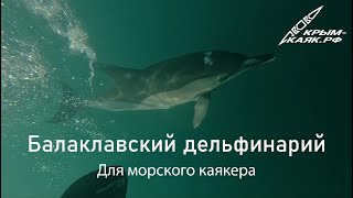 Балаклавский дельфинарий для каякера | КРЫМ - КАЯК.РФ
